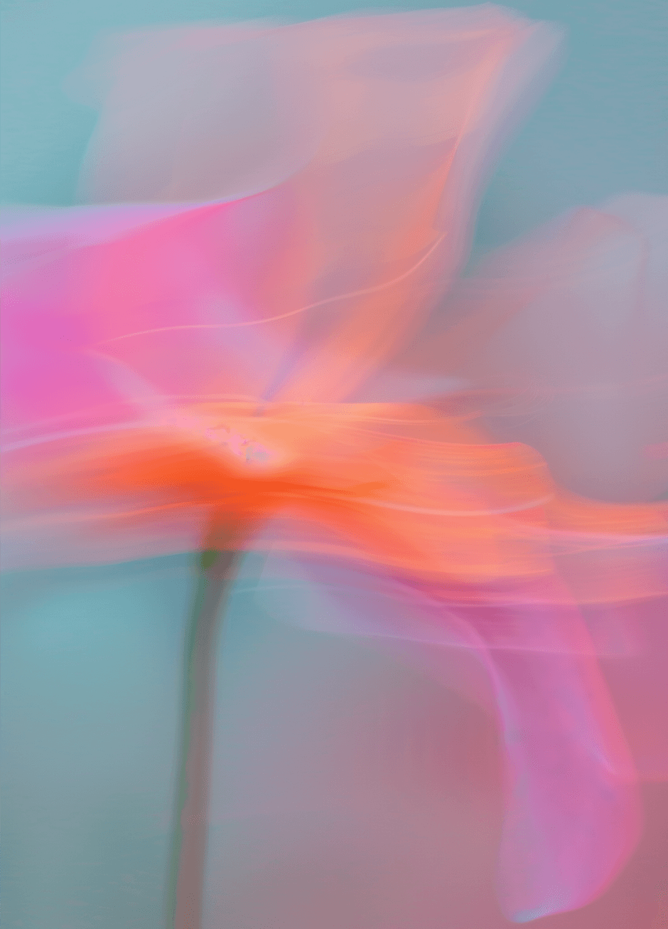 Motion-blurred flower